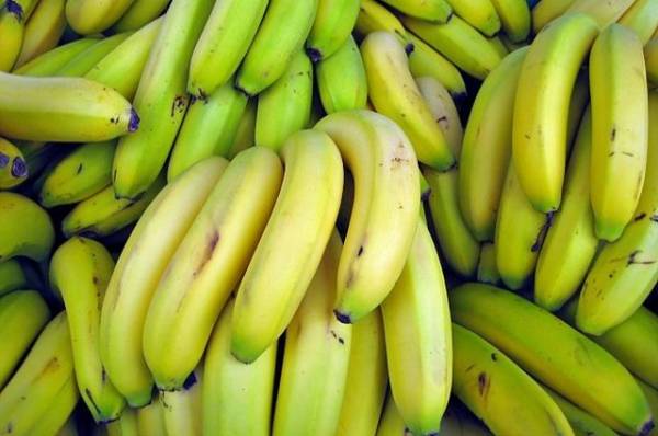 Mash: Россию ожидает дефицит бананов из-за гражданской войны в Эквадоре