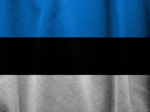 Эстония после визита Зеленского отказалась высылать военнообязанных украинцев