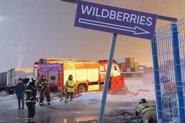 РБК: здание сгоревшего склада Wildberries в Шушарах не было застраховано