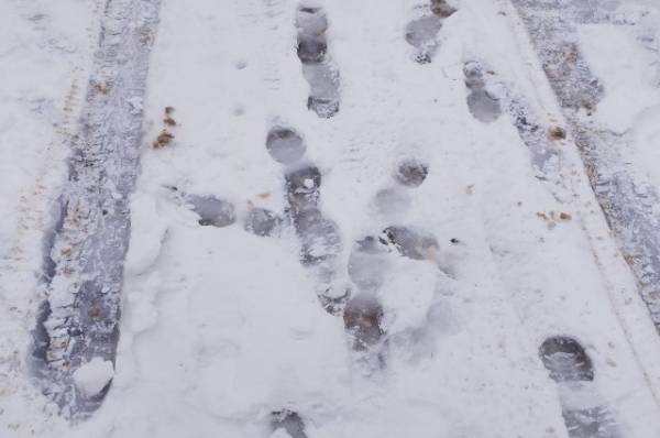 Глава Каменска-Шахтинского Ухин сломал ногу на нечищеном тротуаре