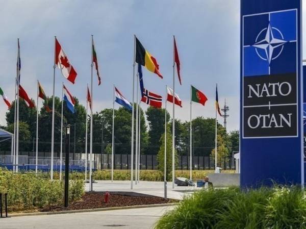 Германию и США обвинили в препятствовании процессу вступления Украины в НАТО