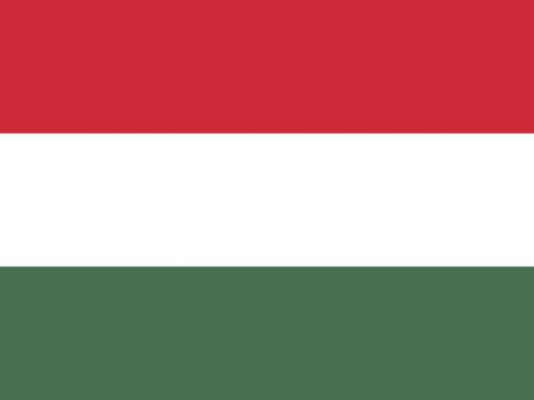 СМИ: правящие партии в Венгрии отложили голосование по приему в НАТО Швеции