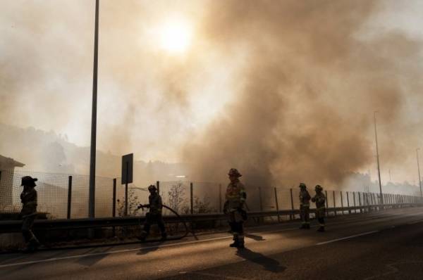 В Чили объявили двухдневный траур по погибшим из-за лесных пожаров