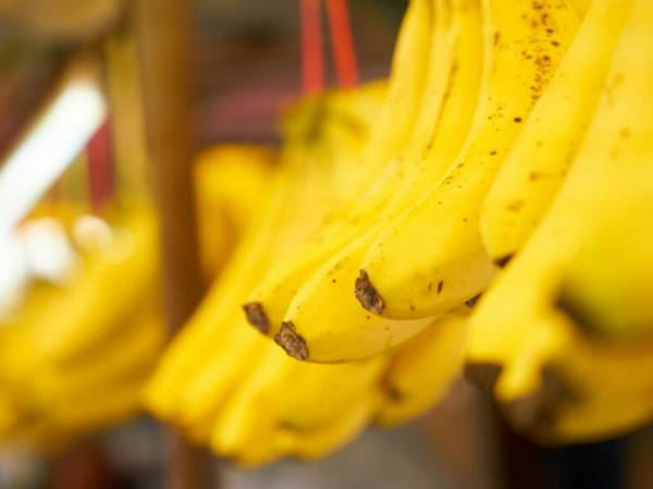 «Политический товар»: названы последствия для России от прекращения поставок бананов из Эквадора