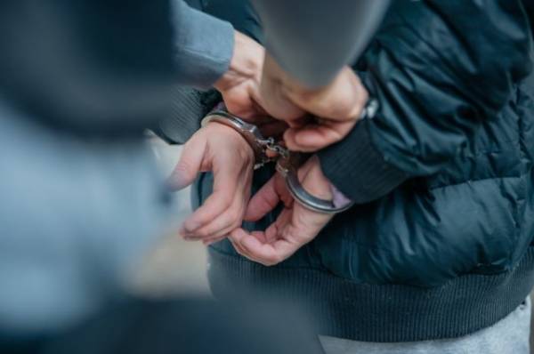 Суд арестовал немца, задержанного в Пулково с мармеладом с каннабисом