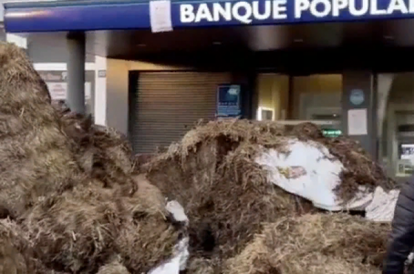 BFMTV: французские фермеры завалили навозом вход в банк в Ажене