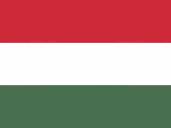 В Будапеште оппозиция требует прямых выборов президента