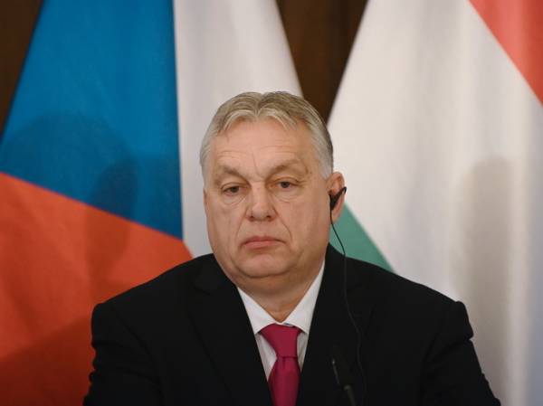 В Венгрии назвали причину невозможности встречи Зеленского и Орбана