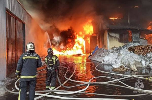 На складе в Подмосковье произошел пожар площадью 700 кв. метров