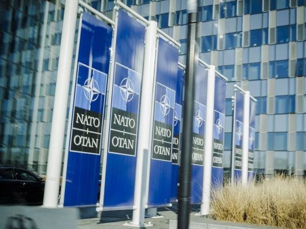 В Совфеде назвали основную цель НАТО в отношении российской территории