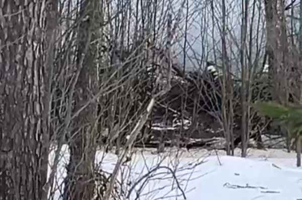 Кадры с обломками потерпевшего крушение под Иваново Ил-76 появились в Сети