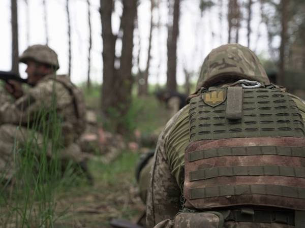 Ветеран «Альфы» назвал способы борьбы с украинскими ДРГ