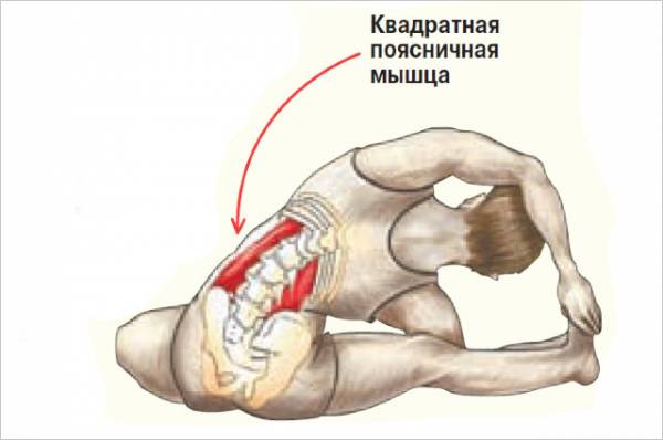 Как растяжка поясничной мышцы избавит от боли в спине?