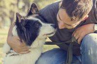 Пёс-антистресс. Учёные узнали, как общение с собакой влияет на мозг людей