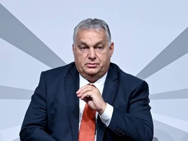 Представительница Украины публично оскорбила Орбана на форуме по безопасности