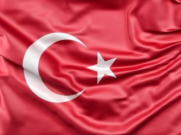 Профессор Жданов объяснил перспективы сближения России и Турции: «Особой любви нет»