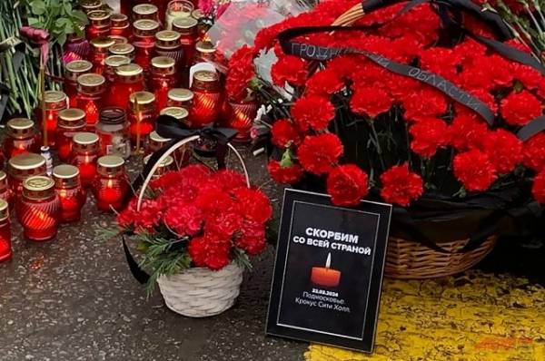 Захарова: украинские инфотеррористы злорадствовали над терактом в «Крокусе»