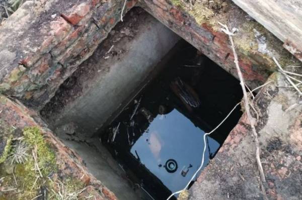 Ребенок утонул в коллекторном колодце в деревне Псковской области