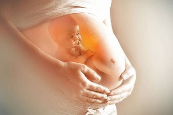 Какие продукты включать в рацион при подготовке к беременности?