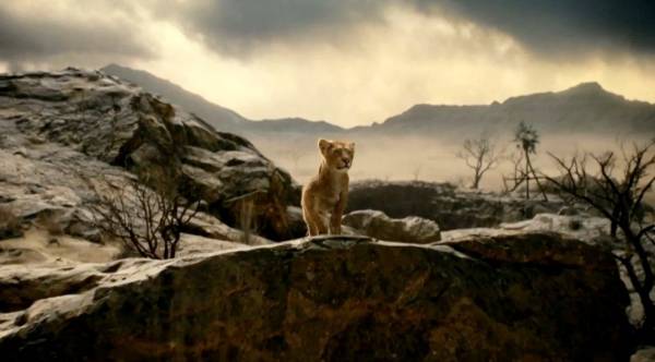 Представлен первый кадр анимационного фильма «Муфаса: Король лев»
