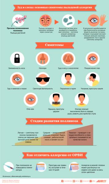 Зуд и слезы: основные симптомы пыльцевой аллергии. Инфографика
