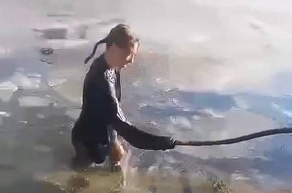 «Глупость сделала». Сеть осудила девочку, спасшую собаку из ледяного пруда