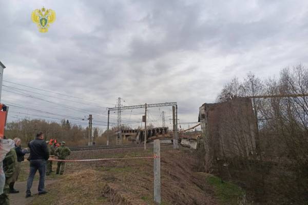 Шесть человек пострадали при обрушении моста в Смоленской области