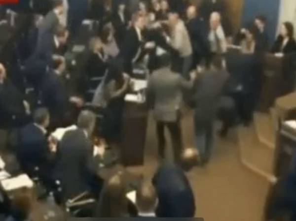 Депутаты грузинского парламента передрались из-за закона об иноагентах
