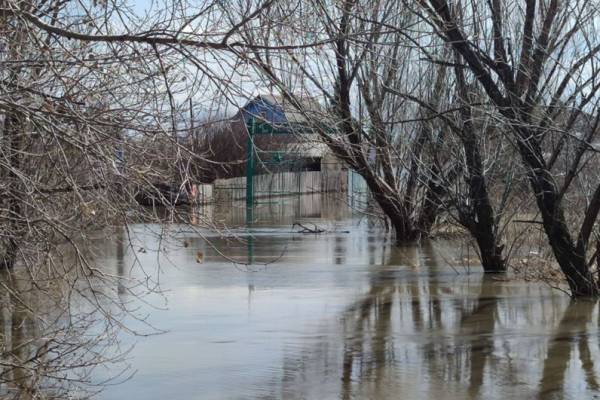 Уровень воды в реке Тобол в Кургане достиг отметки опасного явления