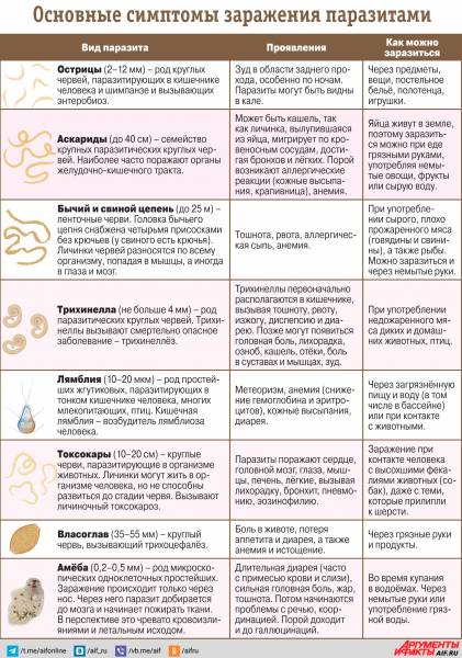 Какие симптомы укажут на гельминтоз? Инфографика