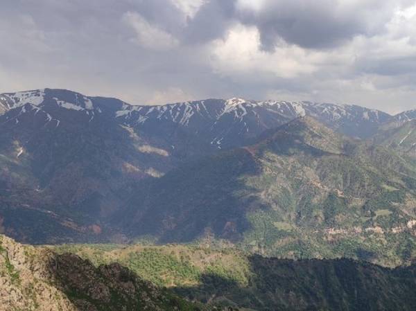 В Румынии обнаружили заблудившихся в горах украинских уклонистов